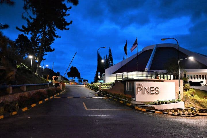 The Pines photo 3