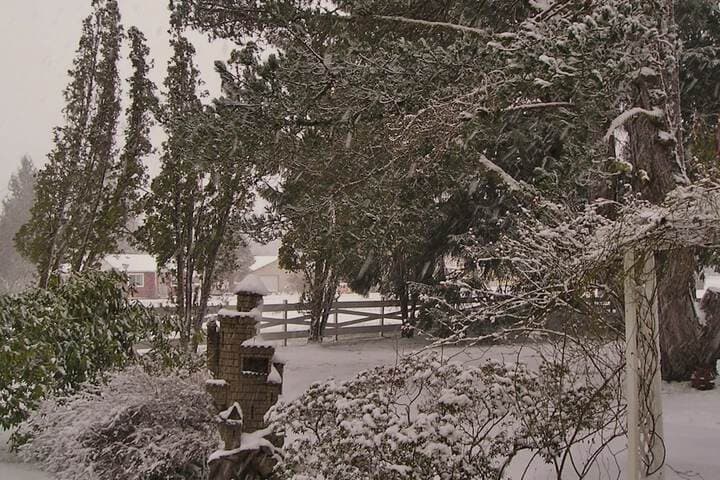 Miller Tree Inn photo 4