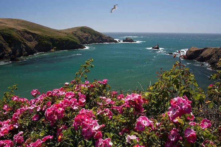 Agate Cove Inn photo 4