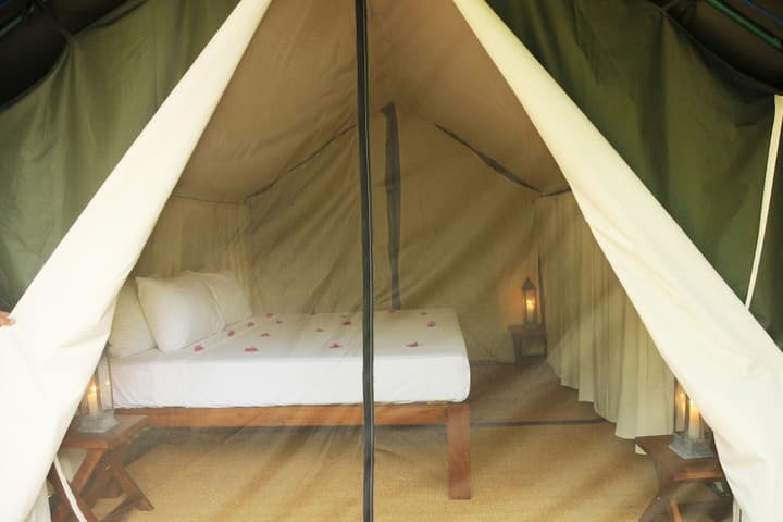 Sigiriya Lodge Hostel photo 5