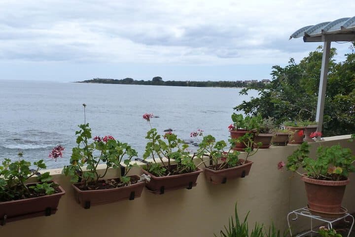 Le Cactus Guesthouse photo 2