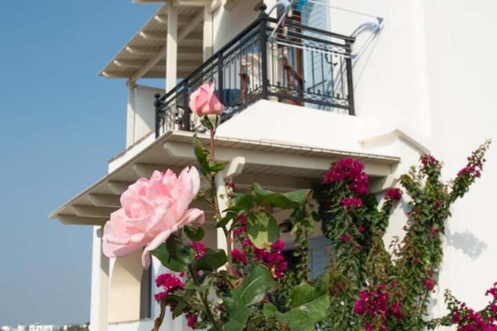 Mare Monte photo 3