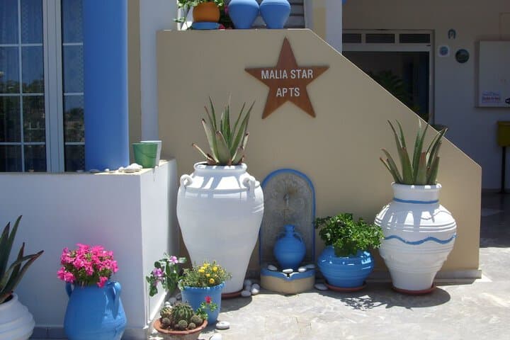 Malia Star photo 2