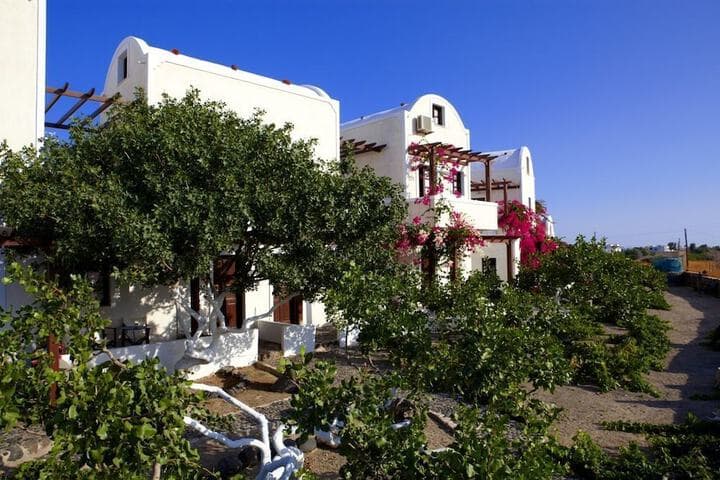 Anna Traditional Apartments photo 5