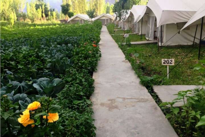 TIH Mystique Meadows Camp photo 2