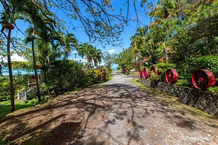 La Haut Resort photo 2
