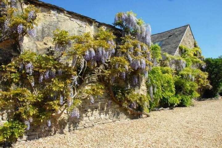 Marlborough Arms Hotel photo 4