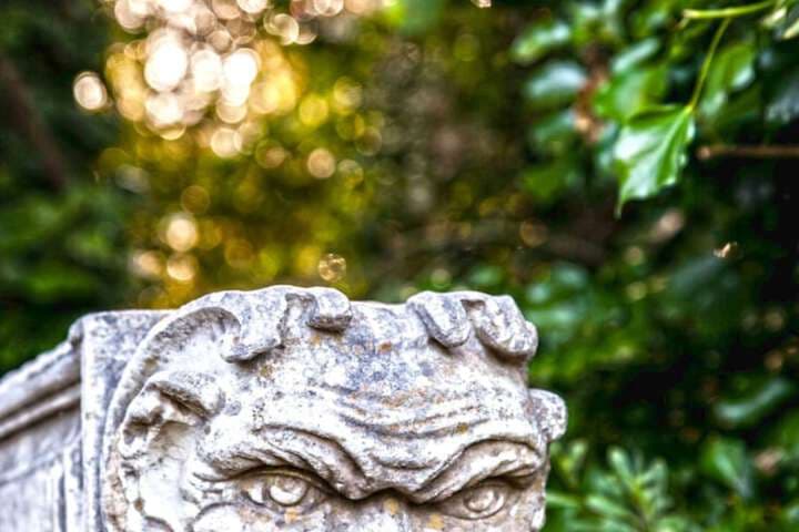 Etna Botanic Garden photo 2