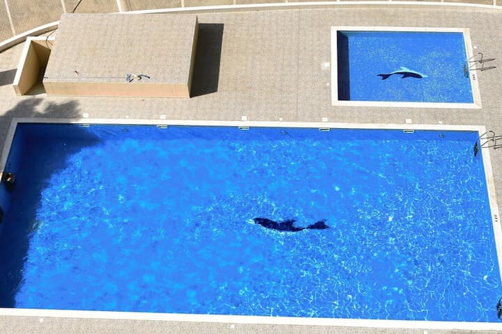 AJWan Hotel Apartments photo 3