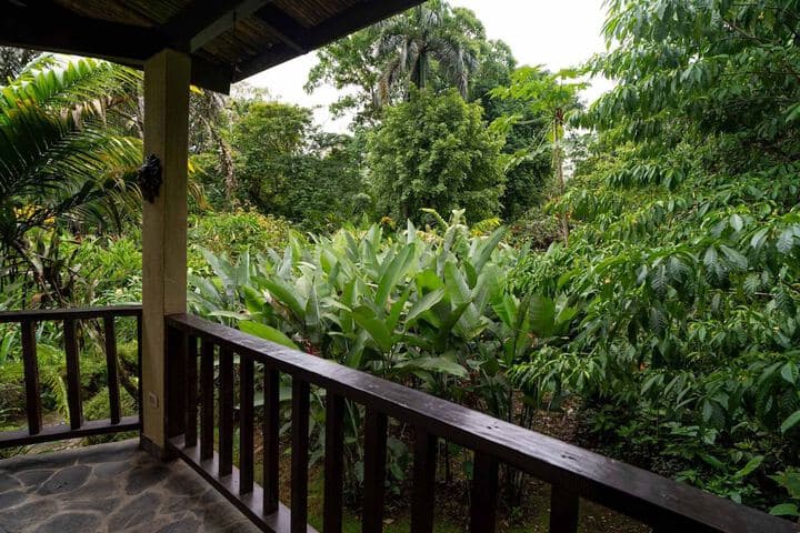 Heliconia Island photo 3