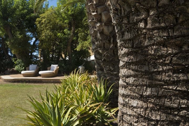 Villa Mosca photo 2