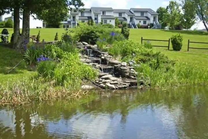 Endless Mountain Resort photo 2
