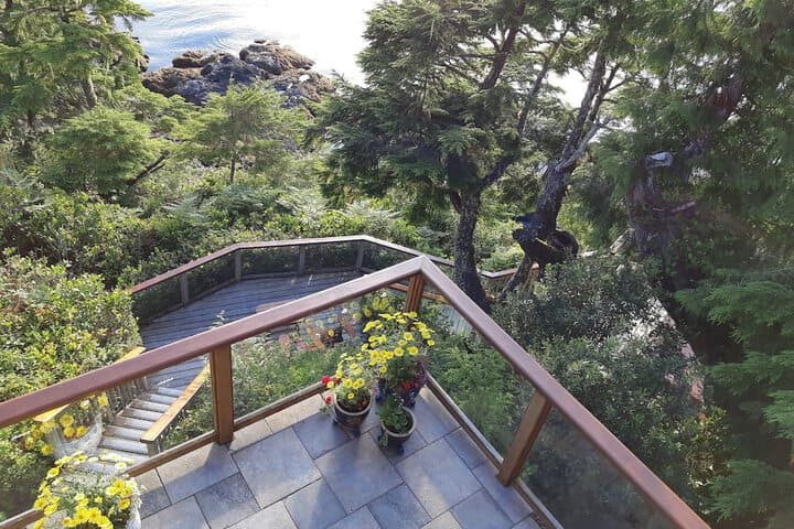 Reef Point Oceanfront B & B photo 4