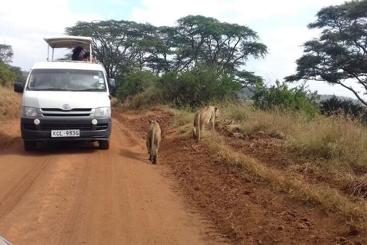 Khweza Bed & Breakfast photo 5