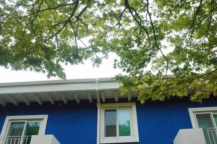 MUJU in GuestHouse Hostel photo 5