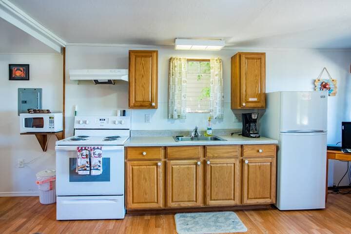 Oceanside Ocean Front Cabins photo 3