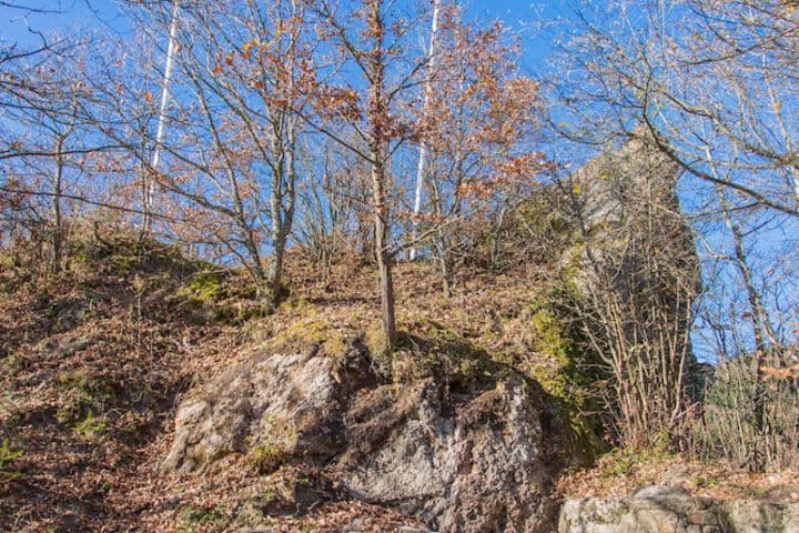 Domaine du Hirtz photo 5