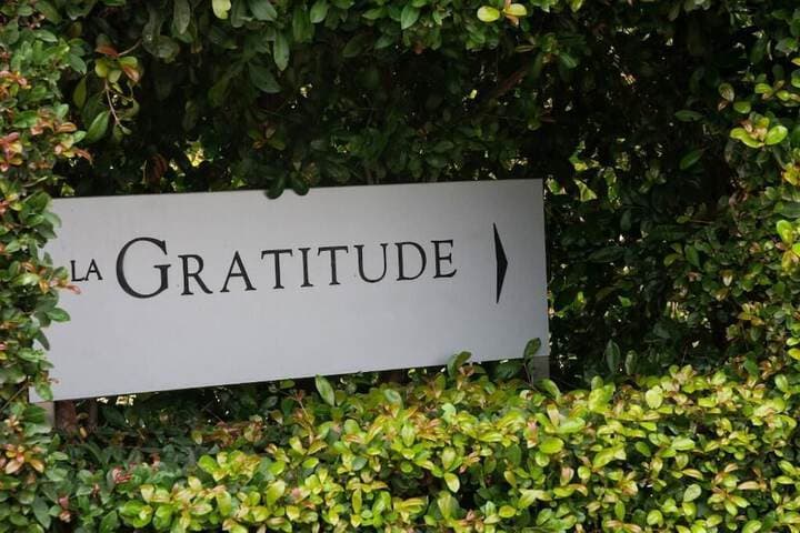 Avemore LaGratitude No 6 with backup power photo 4