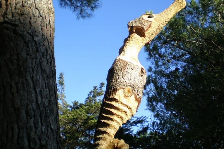Camping Le Sainte Marie photo 2