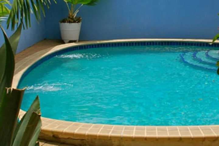 Caribbean Flower Apartments photo 2