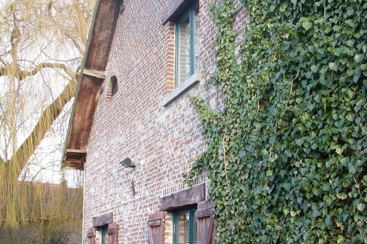 B&B De Dubbelmolen photo 4
