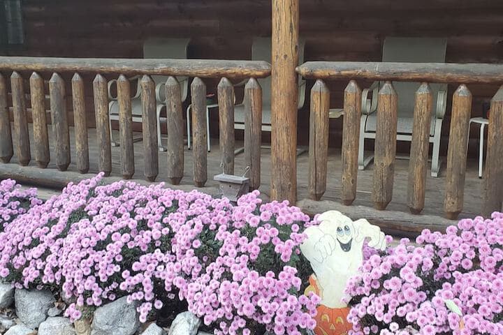 Snyders Knob Bed&Breakfast photo 2