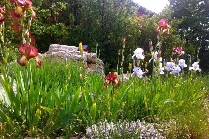 Maison Rouge photo 5