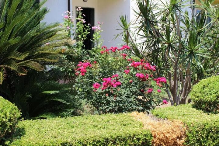 B&B Villa Elena photo 4