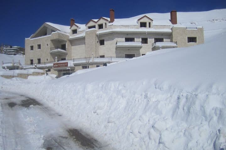 Cedars Palace photo 4