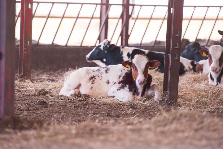 Huntlands Farm photo 3