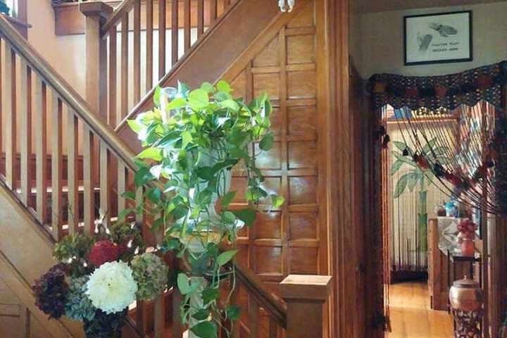 Oasis Bed&Breakfast photo 4