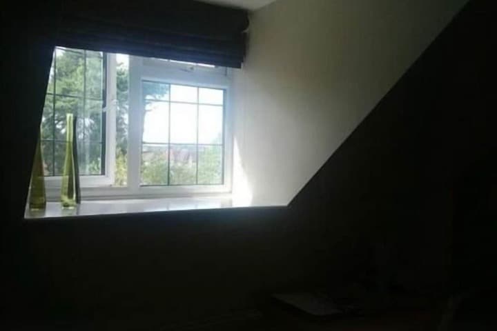 Springfields photo 2