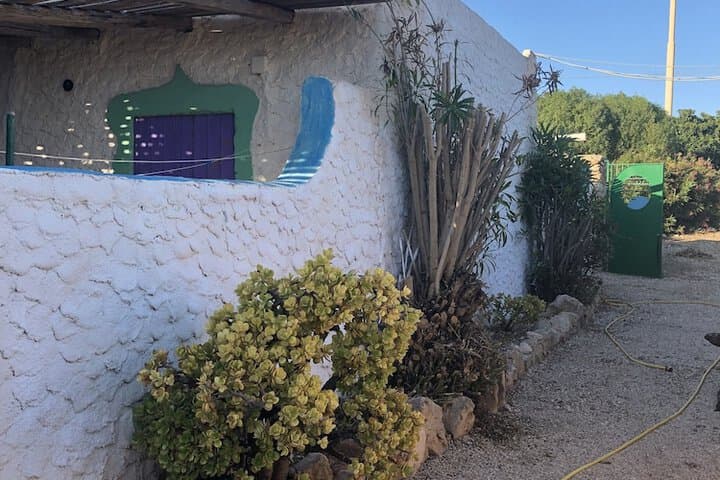 Blu Green Lampedusa photo 2