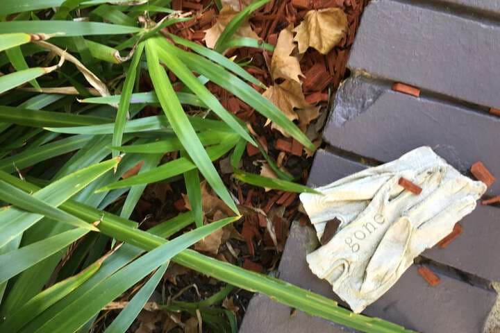 Quest St. Leonards photo 2
