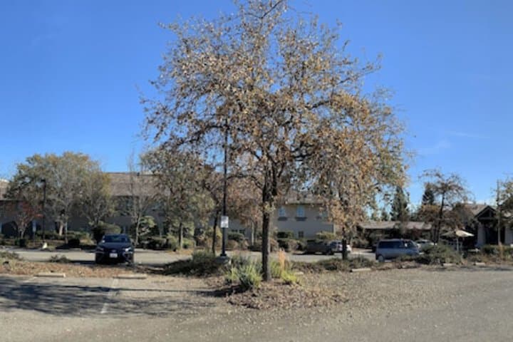 Rocklin Park Hotel photo 2