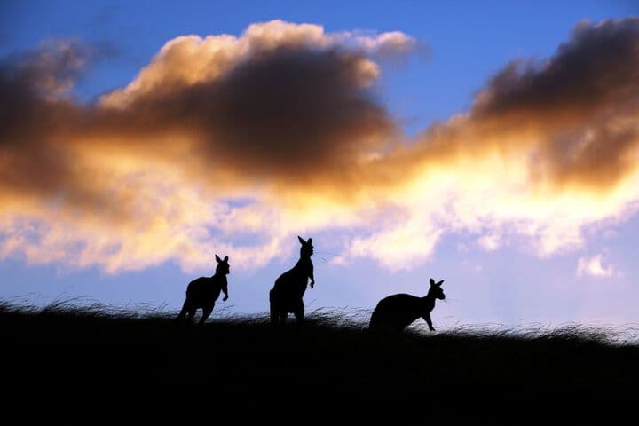 Sky House Kangaroo Island photo 4