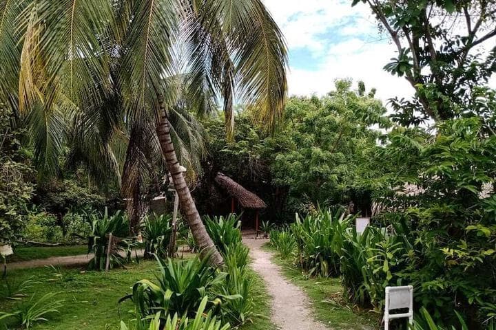 Las Palmeras photo 3