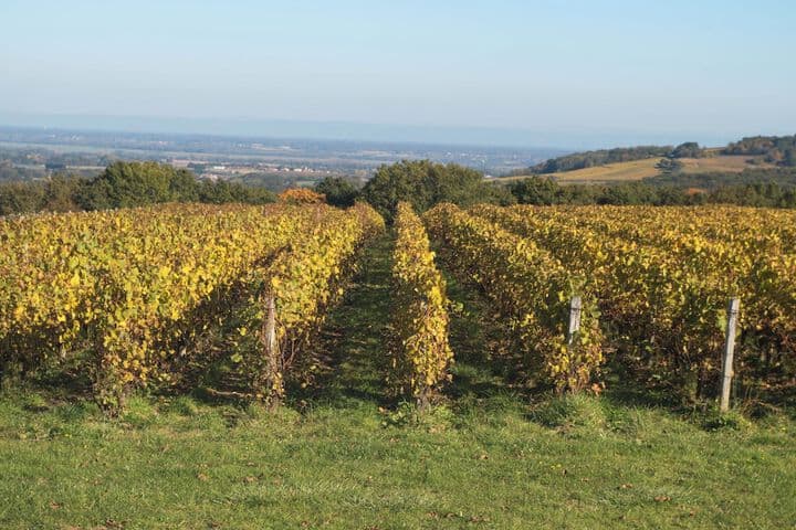 Domaine Joseph Lafarge photo 5