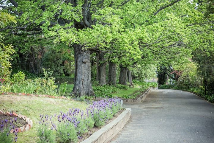 Graham Apartments photo 3