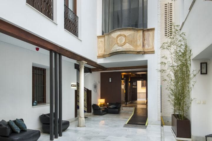 Elvira Suites Apartamentos photo 4