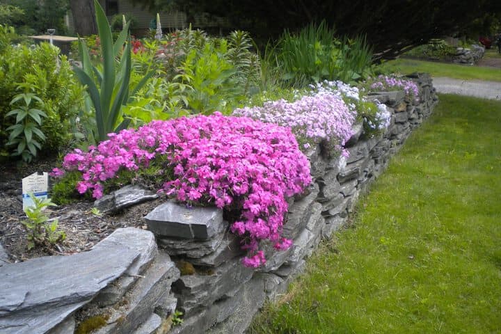 Fleetwood House Bed & Breakfast photo 3