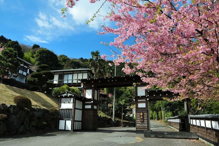 Travel scenery