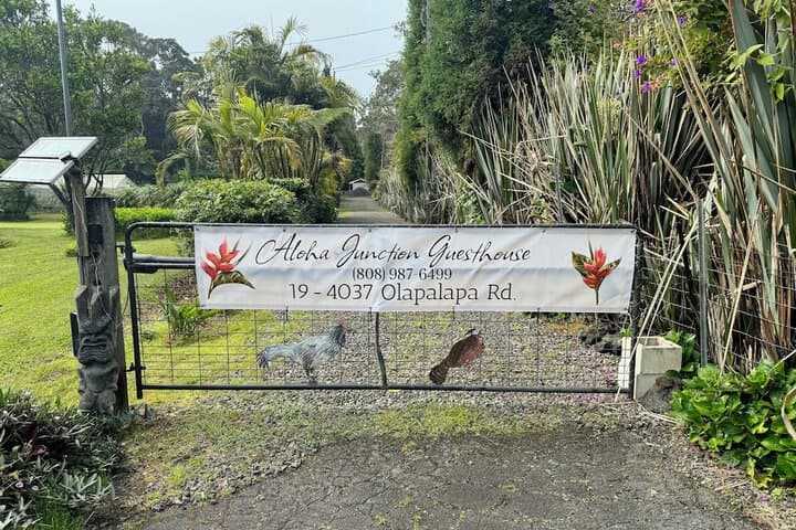 Aloha Junction Guest House photo 2