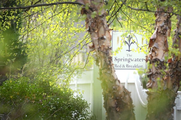 The Springwater B&B photo 3
