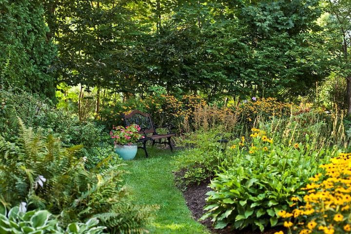 Whistling Swan Inn photo 2