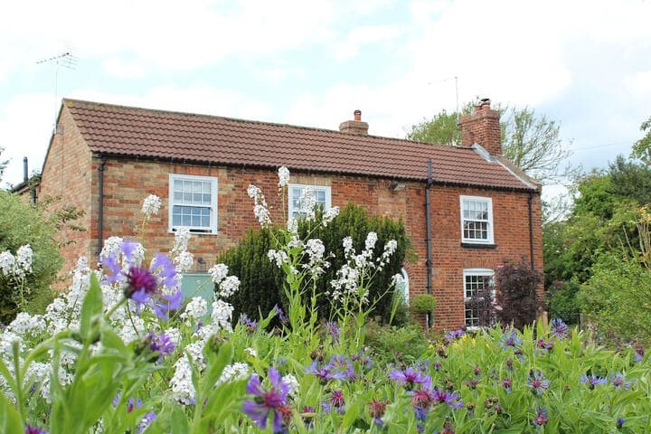 The Vine B & B photo 3