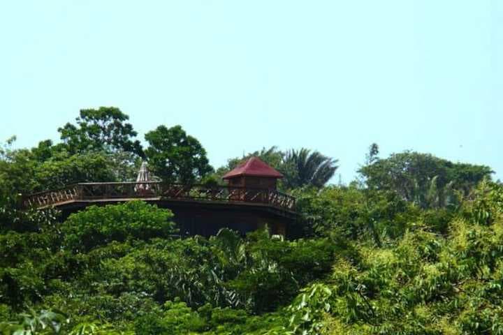 Roatan Bed & Breakfast Apartments photo 4