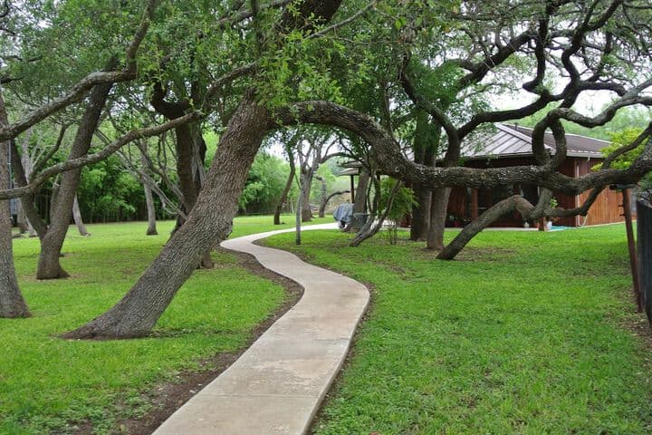 Live Oaks Bed&Breakfast photo 5