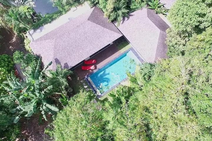 Mango Tree Villas photo 2