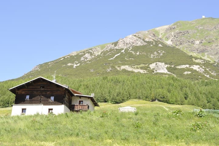 Appartamenti Green photo 2